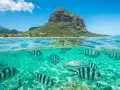 Podwodny świat z rybami i góra Le Morne Brabant na Mauritiusie. Czy na Mauritius jest bezpiecznie? Tak, to raj dla nurków.