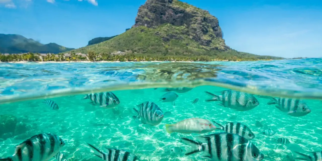 Podwodny świat z rybami i góra Le Morne Brabant na Mauritiusie. Czy na Mauritius jest bezpiecznie? Tak, to raj dla nurków.